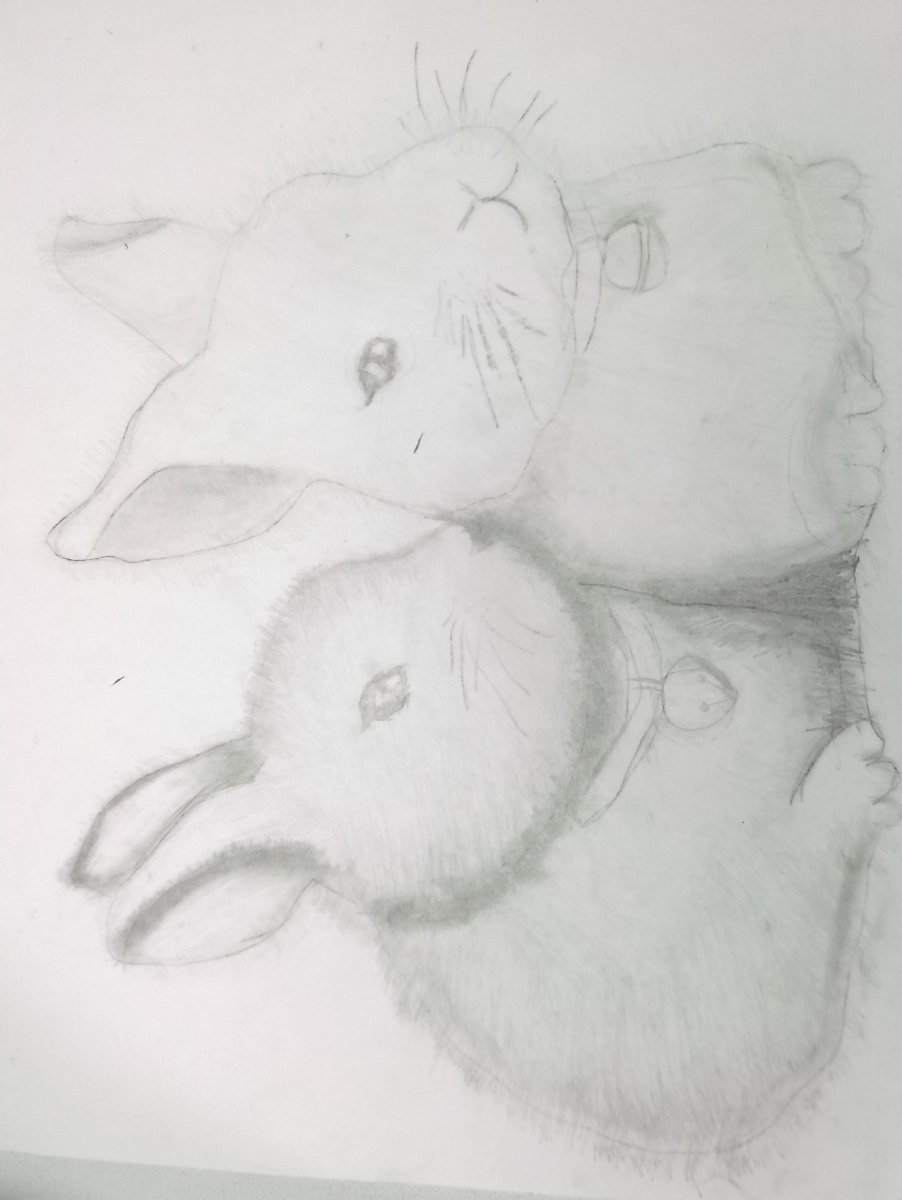 bunnies