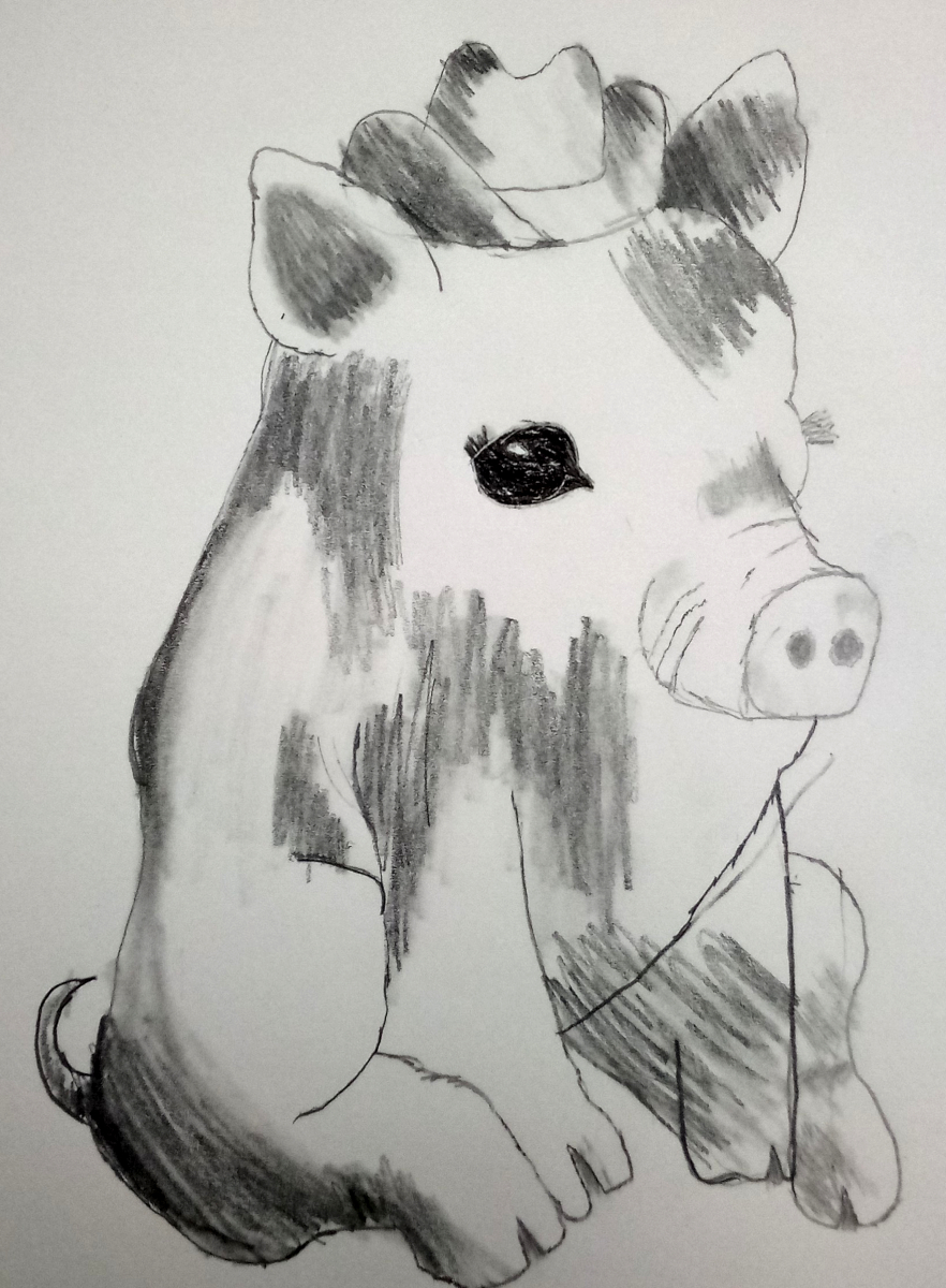 pig