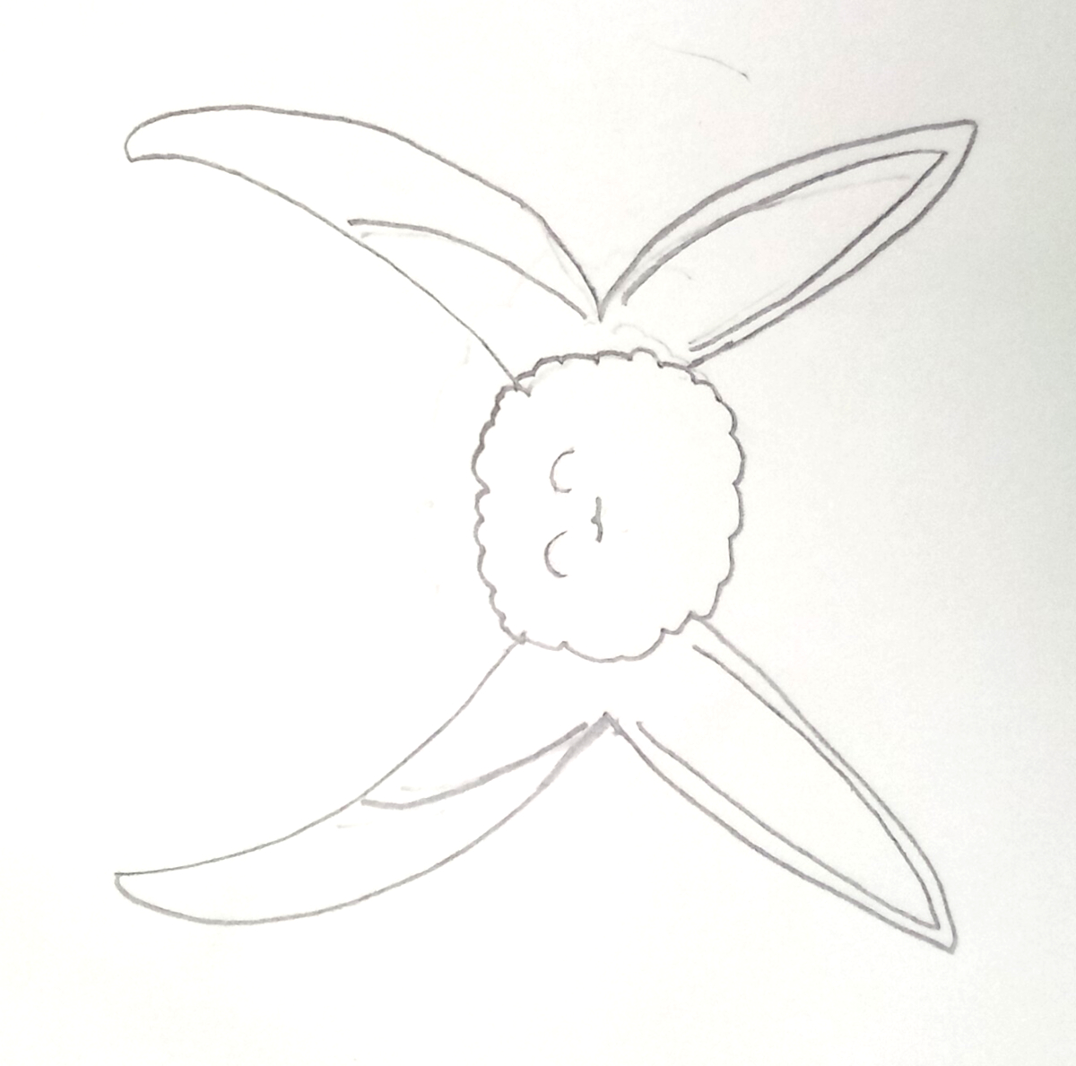 flying creature