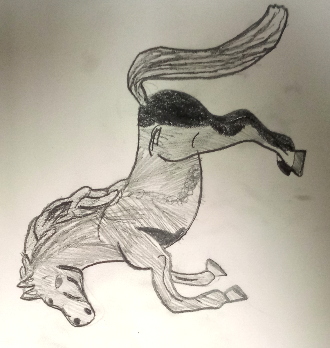 horse