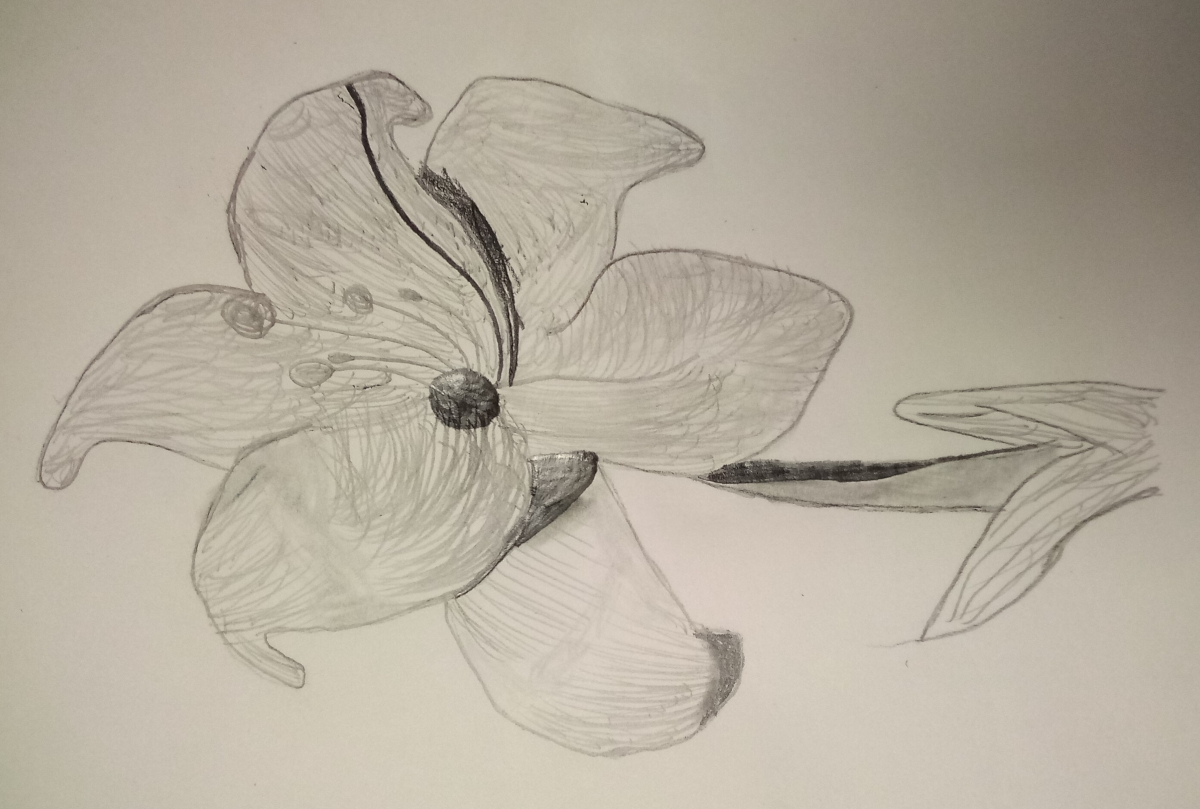 flower