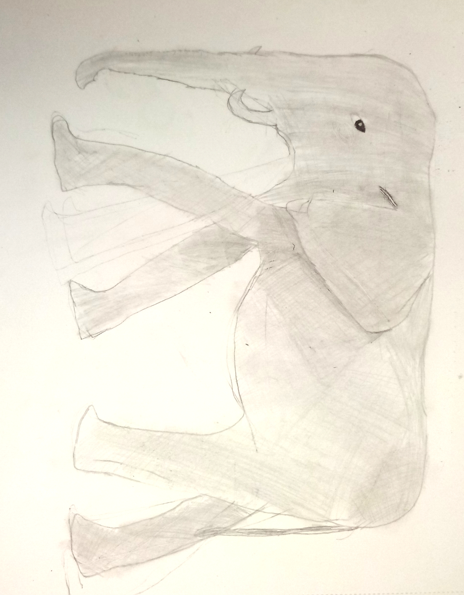 elephant
