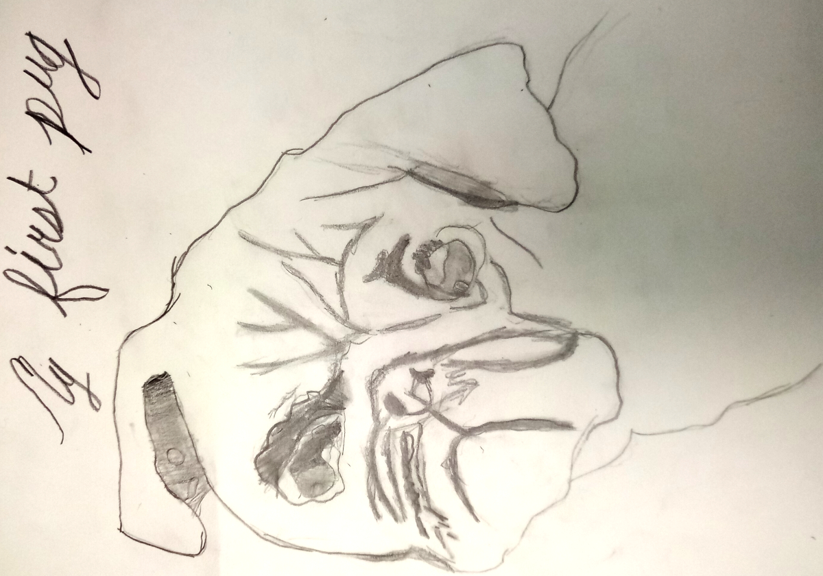 dog